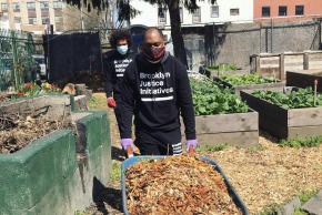 Brooklyn Justice Initiatives staff doing community service during COVID, cleaning up garden