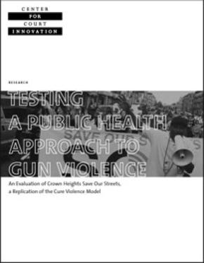 Testing a Public Health Approach to Gun Violence