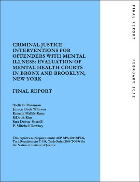 Criminal Justice Interventions: Final Report
