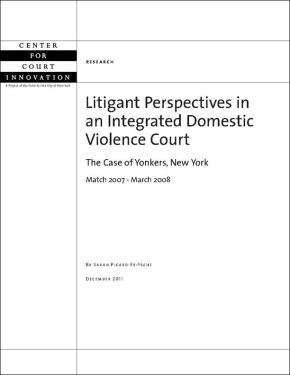 Litigant Perspectives in an Integrated Domestic Violence Court