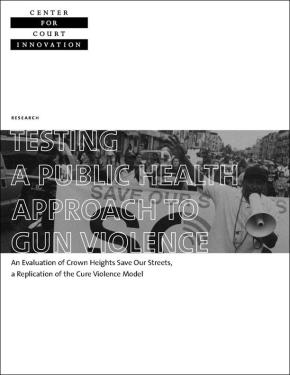 Testing Approach to Gun Violence