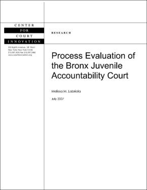 Process Evaluation Bronx Juvenile Court