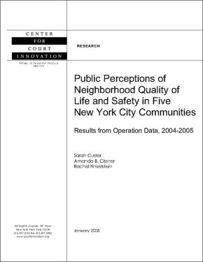 Public Perceptions of Neighborhood Quality of Life and Safety