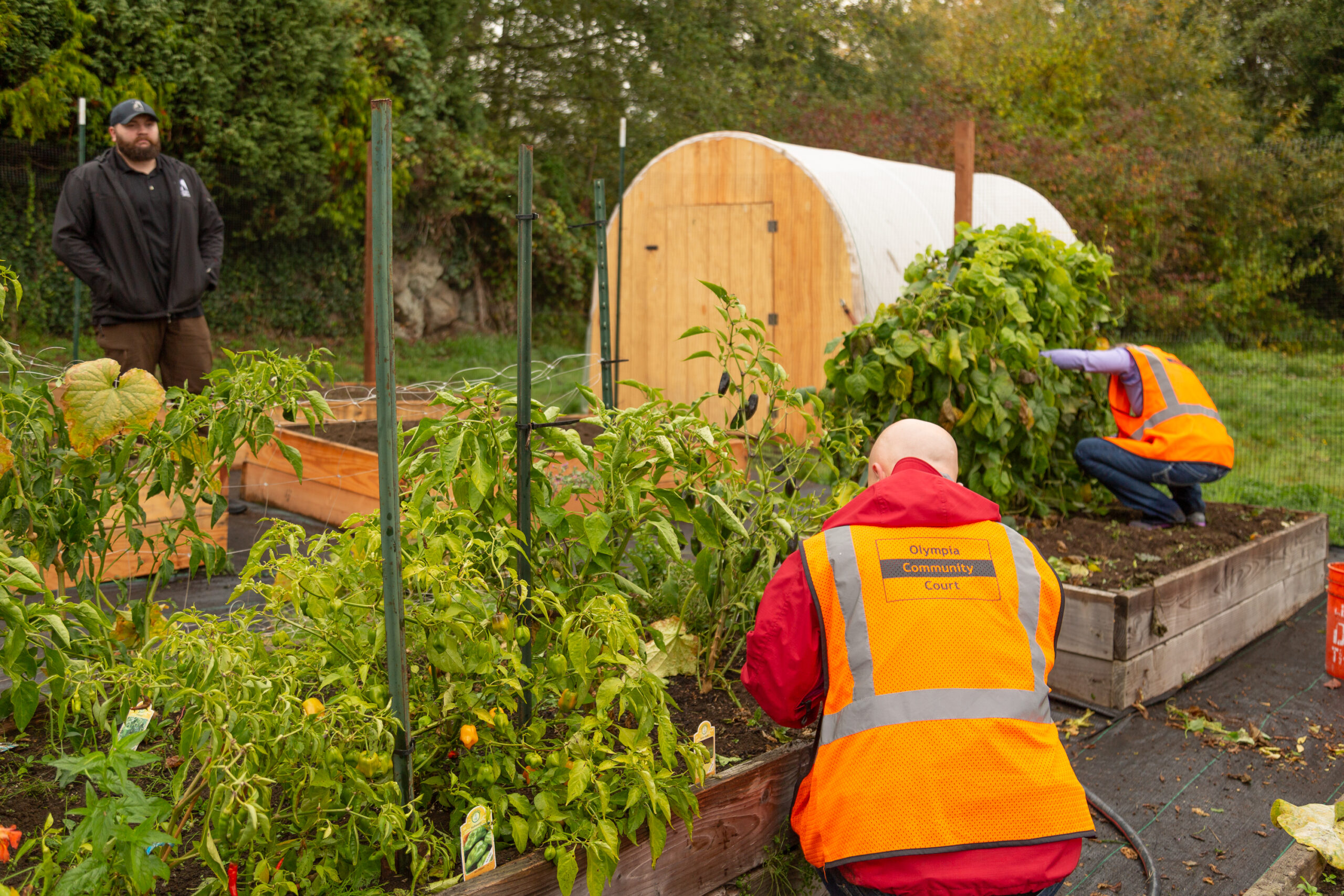 Olympia_Mentor_Court_Garden