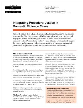Integrating Procedural Justice in Domestic Violence Cases