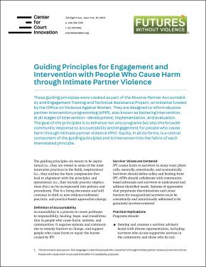 Cover for guiding principles document