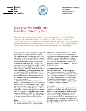 Opportunity Youth Part Fact Sheet Cover