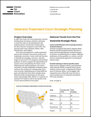 Veterans Treatment Court Strategic Planning document