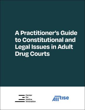 Cover for A Practitioner’s Guide to Constitutional and Legal Issues in Adult Drug Courts 