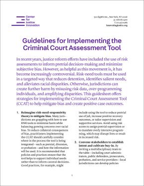 Cover page of CCAT Guidelines factsheet with purple text over white background