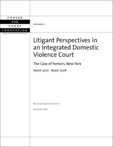 litigant_perspectives.jpg