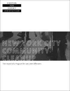 nyc_com_cleanup.jpg