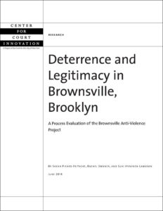 cover_deterrencelegitimacybrownsville.jpg