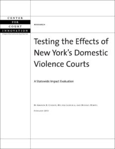 cover_nydv_courts.jpg