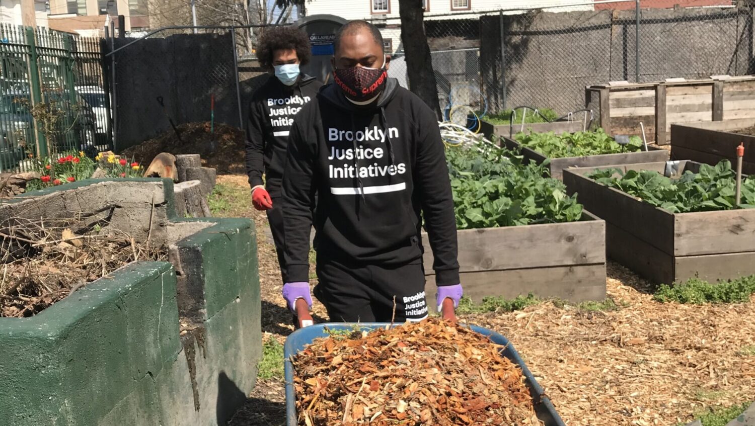 2 Brooklyn Justice Initiatives workers push a wheelbarrow in a garden
