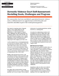 cover_22_dv_selfassessment.jpg