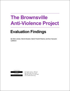 the brownsville anti violence project.jpg