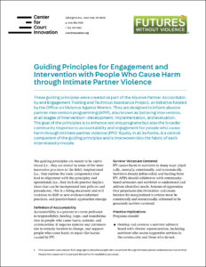 CCI_Factsheet_DV_Guiding_Principles_IPV_02072022_COVER.jpg