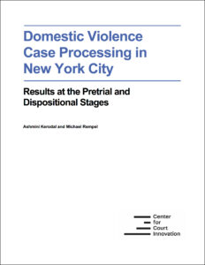 domestic_violence_case_processing_in_nyc_new.jpg