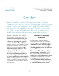 BJI_Factsheet_Cover.jpg