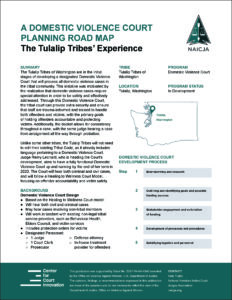 handout_naicja_cover_05282019.jpg