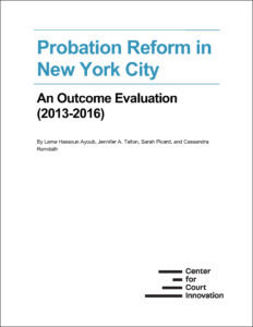NeON Report FINAL (June 2020)_COVERwithborder.jpg