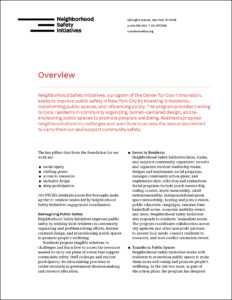 NSI_FactSheet_COVER.jpg