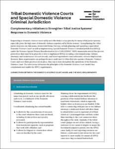 Handout_CCI_TDVC_SDVCJ_06212021_COVER.jpg