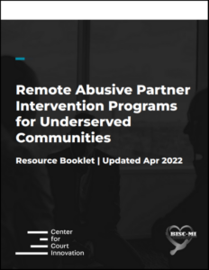 Publication Cover - Remote Abusive Partner Intervention Programs for Underserved Communities.png
