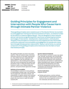 Fact Sheet Guiding Principles for Engagement and Intervention with People Who Cause Harm through Intimate Partner Violence Cover Photo.png