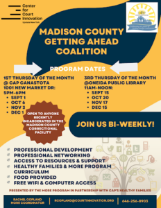 MORE program graphic.png