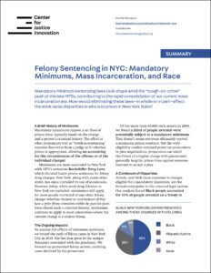 Summary_NY_Felony_Sentencing_02172023_COVER.jpg