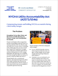 CJI_Factsheet_NYCHA_UAA_04052024 (w Border).png
