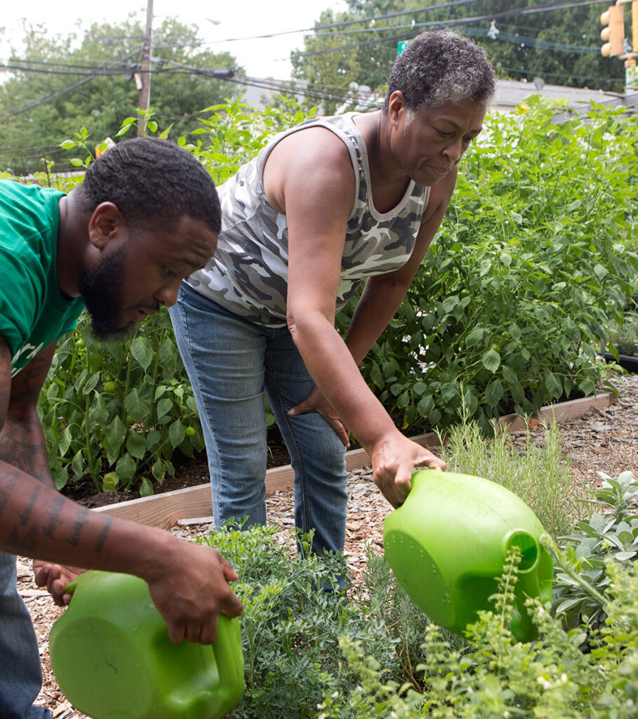 Two people standing side by side bend over a garden, watering plants.
