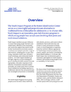 Cover image of the Youth Impact Staten Island fact sheet.