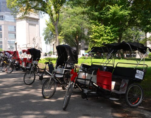 A row of pedicabs -- bicycle-drawn carriages -- line New York City's Central Park on a bright spring day